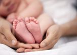 Държавната дума забрани сурогатното майчинство за чужденци