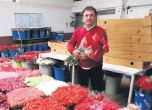 Турски бизнесмени: Цветя за износ чакат по 40 часа средно на границата, България е виновна