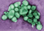 Бургас е на прага на грипна епидемия