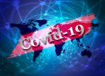 157 са регистрираните случаи на коронавирус у нас