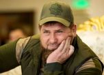 Кадиров се оплака, че откраднали любимия му кон за 10 млн. долара