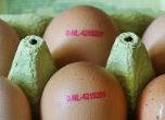 България е на четвърто място в ЕС по поскъпване на яйцата, сочат данните на Евростат