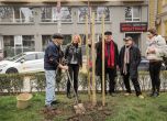 Звезди от София филм фест засаждат дървета в столични паркове