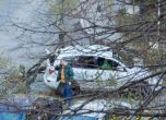 Клон падна върху кола в София (обновена)