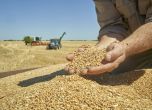 Румъния ще запечата и инспектира транзита на украинско зърно през страната