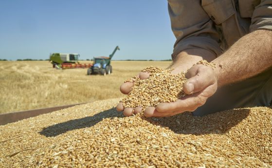 Румъния ще запечата и наблюдава транзита на украинско зърно