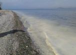 'Кремообразна утайка' на плажове в Мраморно море