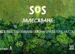 ''Нестле България'' дава старт на каузата ''SOS Залесяване''