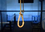 Амнести: 53% ръст на екзекуциите в световен мащаб - най-високата цифра от 2017 г. насам