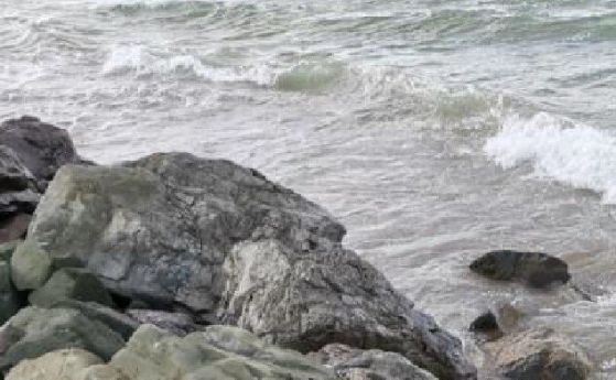 Мястото, където е намерен мъртвият делфин в Поморие