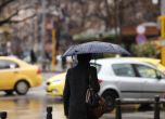 Над 120 сигнала за наводнения и паднали клони след силния дъжд в София