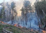 100 горски служители са гасили пожари през последното денонощие
