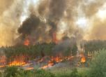 Пожар на полигона в Змеево, военните не пускат пожарната