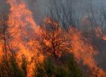 Голям пожар край селата Кърналово, Рупите и Старчево
