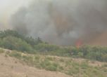 Овладяха пожара в Бургаско, гори борова гора на 30 метра от село Изворище