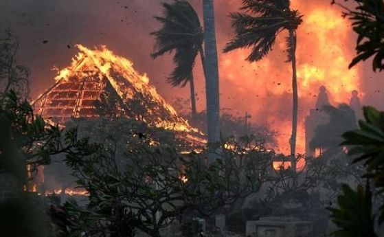 Пожарите на хавайския остров Мауи