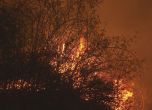 300 дка широколистна гора е изгоряла при пожара край с. Белеврен