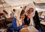 Талибаните забраниха на жените да учат в чужбина и да стъпват в национален парк