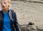 Министърът на туризма Зарица Динкова отрече, че хвърлила сухоземна костенурка в морето