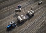 Украйна ще съди Полша, Унгария и Словакия заради забраната за внос на зърно