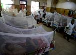 Епидемия от денга в Бангладеш взе живота на повече от 1000 души