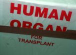 Отделят трансплантациите в самостоятелна агенция