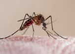 В Камерун започва първата рутинна ваксинация срещу малария в света