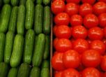 Здравеопазването като плод-зеленчук: Лекари обясняват къде е проблемът с онколекарствата