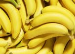 Русия спира вноса на банани от Евквадор, защото помага на Украйна