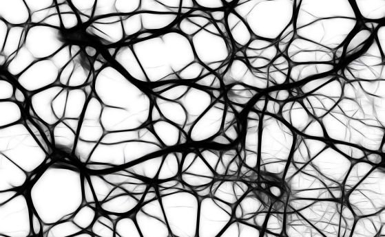 неврони