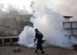 Извънредно положение в Перу след рязък скок на заразените с Денга
