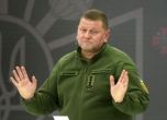 Бившият главнокомандващ ВСУ Валерий Залужни става посланик