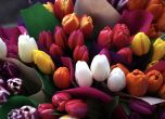 Тренд: 67% подаряват цветя за 8-ми март