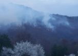 Два големи пожара пламнаха край Копривщица