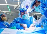 Нова трансплантация на свински бъбрек на човек