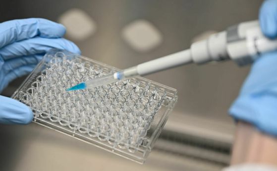 Лаборатория: Всеки пети PCR тест за коклюш е положителен