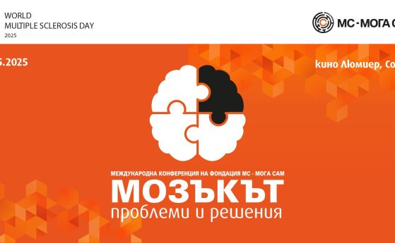 конференция