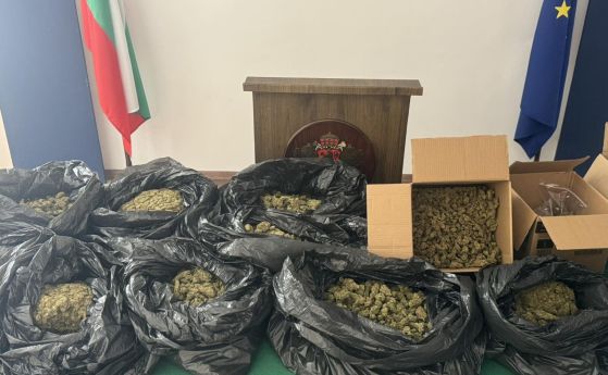 Заловената марихуана