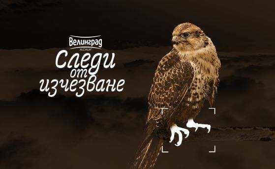 Кампания Следи от изчезване