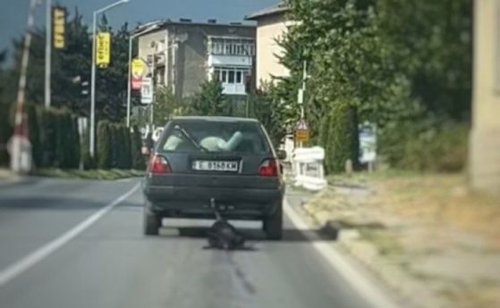 Куче завързано за автомобил