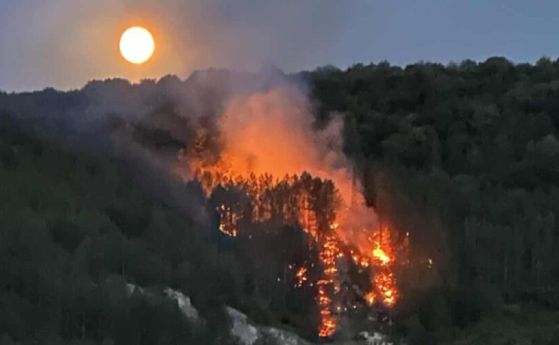 Огънят е пламнал в борова гора, на около километър след края на града