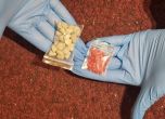 Полицията задържа трима дилъри на дрога в София