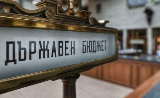 Държавен бюджет - БГНЕС/Архив