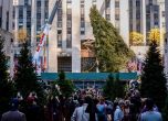 Коледното дърво в Ню Йорк