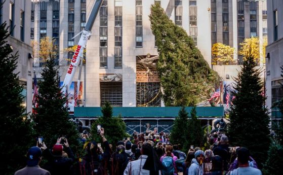 Коледното дърво в Ню Йорк