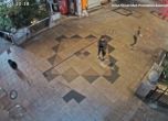 Мечка в Япония