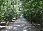 Алея в Борисовата градина