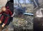 руска агресия