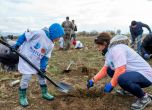 #ЗалесявамеАктивно2022 събра над 500 доброволци, сред които 200 деца и се превърна в истински семеен празник slid #ЗалесявамеАктивно2022 събра над 500 доброволци, сред които 200 деца и се превърна в истински семеен празник slid