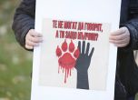 Голям протест пред ВМА срещу лекаря, прегазил и оставил кучето Мая и насилието срещу животни (снимки) slid Голям протест пред ВМА срещу лекаря, прегазил и оставил кучето Мая и насилието срещу животни (снимки) slid